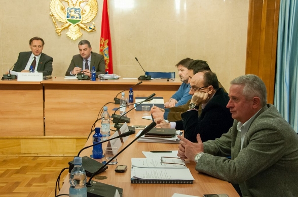 Eleventh Meeting of the Constitutional Committee