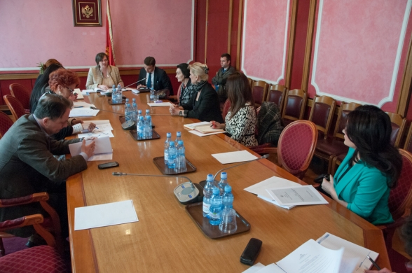 Gender Equality Committee holds its 45th meeting