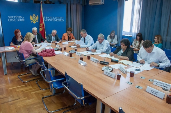 Thirteen meeting of the Committee on Human Rights and Freedoms held