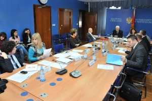 Fifth Meeting of the Committee on Human Rights and Freedoms