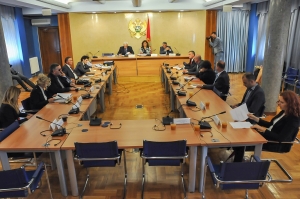 Eleventh Meeting of the Committee on Human Rights and Freedoms held