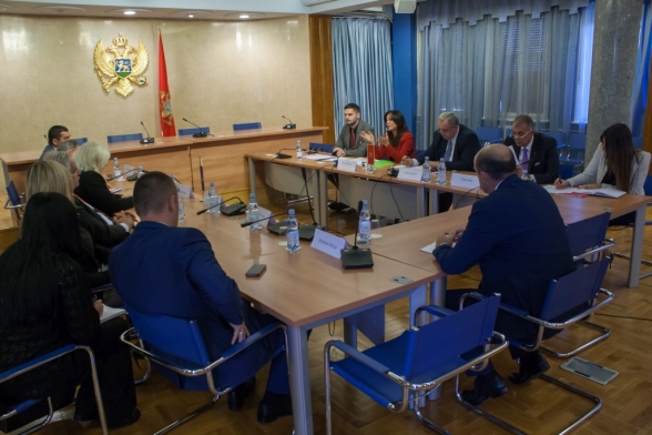 Meeting of the Committee on International Relations and Emigrants of the Parliament of Montenegro and Committee on Health, Labour and Social Welfare of the Assembly of the Republic of Kosovo held