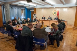 Second continuation of the fifth, and the seventh meeting of the Committee on Economy, Finance and Budget were held