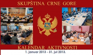 Action Plan for Strengthening Legislative and Control Role of the Parliament