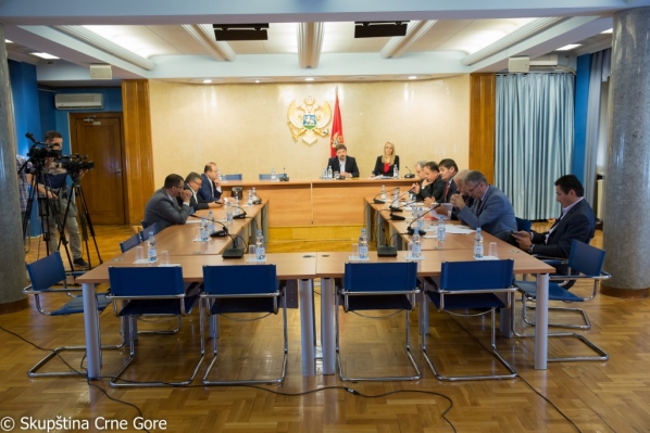 Committee on International Relations and Emigrants holds its 76th meeting