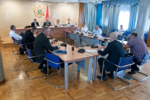 Fifteenth Meeting of the Commission for Monitoring and Control of Privatization Process