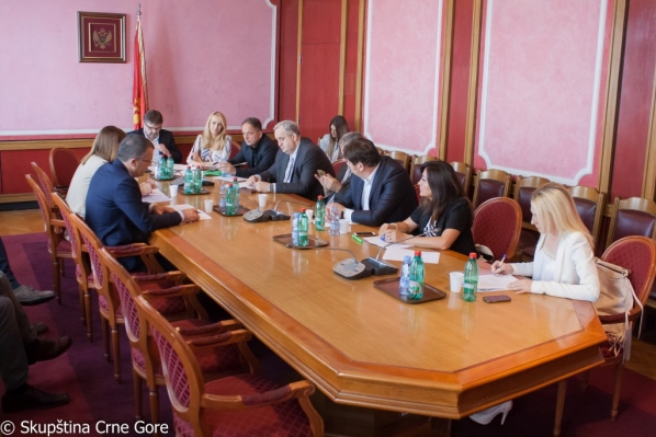 Committee on International Relations and Emigrants holds its 85th meeting