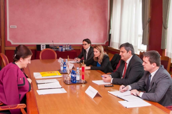 Meeting of the Chairman on European Integration with H.E. Ms. Nafsika Krousti, the ambassador of the Republic of Cyprus