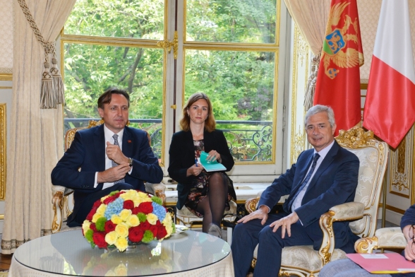 President of the OSCE Parliamentary Assembly and the Parliament of Montenegro, Mr Ranko Krivokapić is paying an official visit to the Republic of France