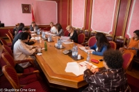 Gender Equality Committee holds its 63rd meeting