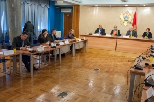 Thematic meeting of the Gender Equality Committee