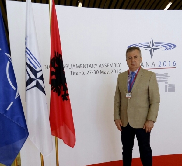 Spring Session of the NATO Parliamentary Assembly - day one
