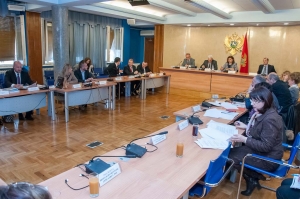 Eighth Meeting of the Committee on Human Rights and Freedoms