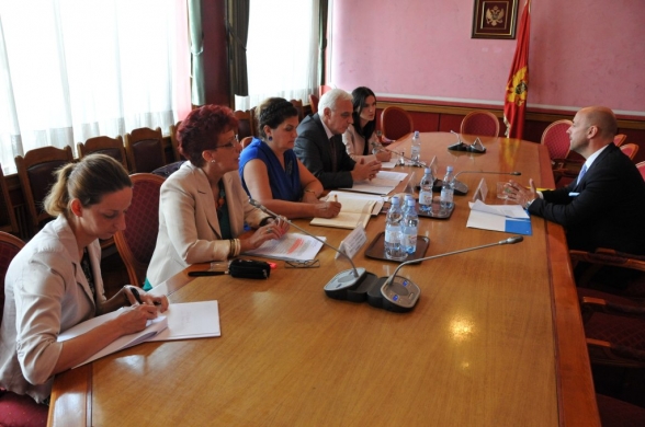 Meeting of Representatives of the Committee on Human Rights and Freedoms with the UNICEF Representative to Montenegro