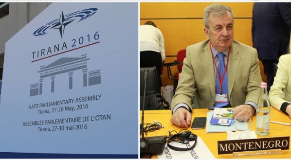 Spring Session of the NATO Parliamentary Assembly - day three