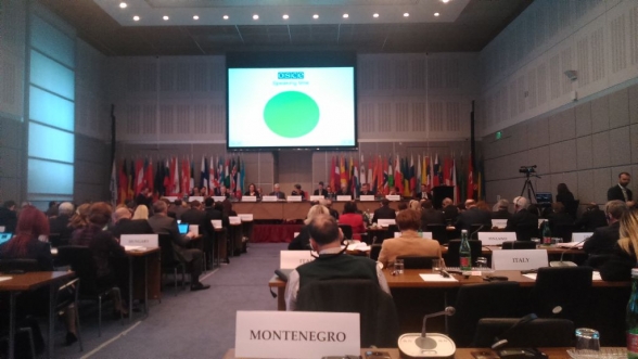 In the frameworks of OSCE PA Winter Meeting, Mediterranean Forum and Joint Session of committees held
