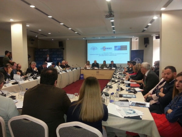 Roundtable “Perspective of Armed Forces of Montenegro within NATO Structure” held