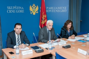 Tenth Meeting of the Committee on Human Rights and Freedoms Held