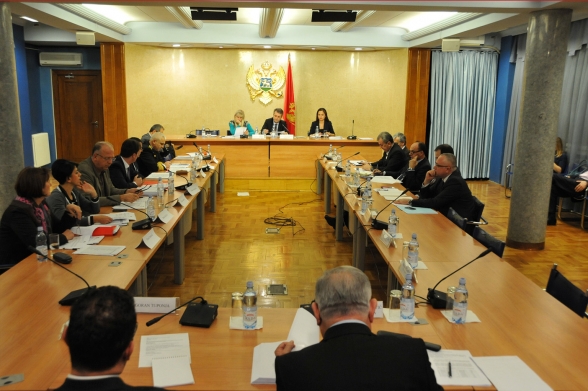 Security and Defense Committee held 29th Meeting