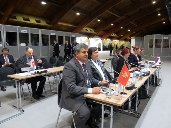 Plenary meeting of the LIII COSAC ended