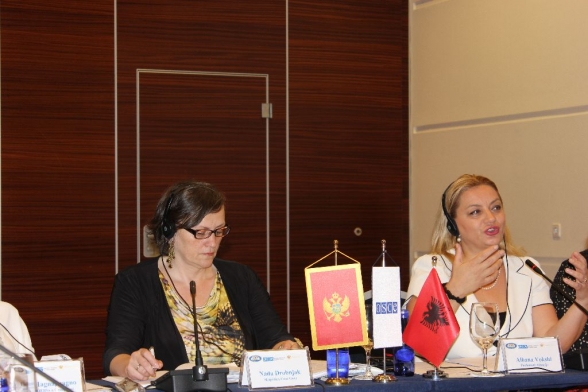 First bilateral meeting of the Gender Equality Committee and the Work, Social Issues and Health Committee of the Albanian Parliament