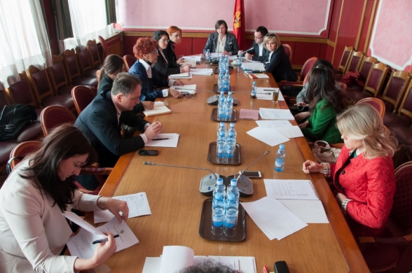 Gender Equality Committee holds its 48th meeting