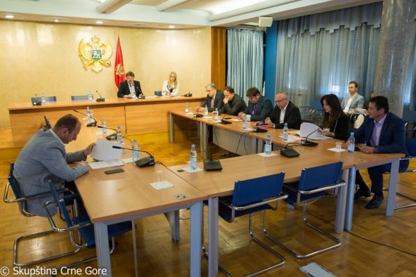 Committee on International Relations and Emigrants holds its 77th meeting