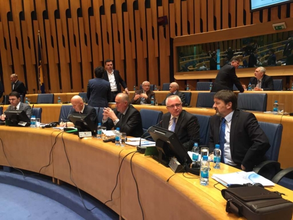Delegation of the Parliament of Montenegro takes part in the 25th session of the Igman Initiative