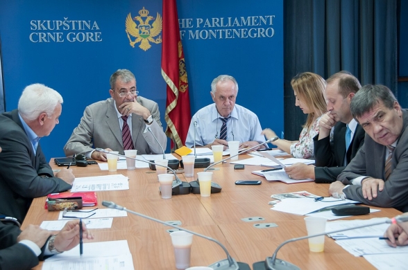 Thirteenth meeting of the Committee on Health, Labour and Social Welfare held